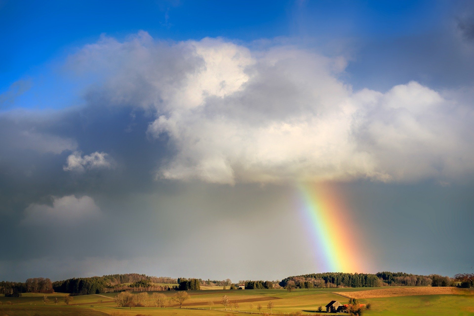 Faith in counselling FIC26